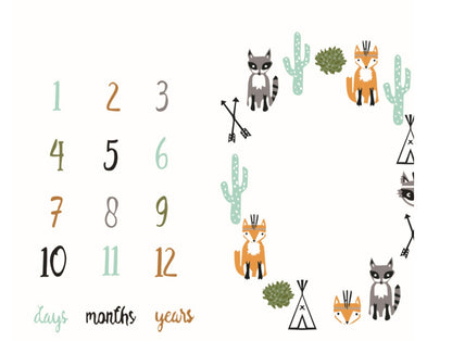 Baby Milestone Photo Blanket