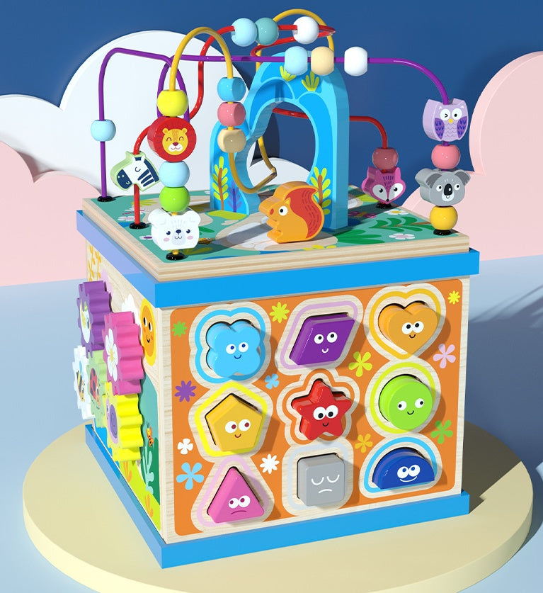 Montessori Wooden Activity Cube