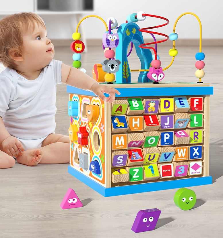 Montessori Wooden Activity Cube